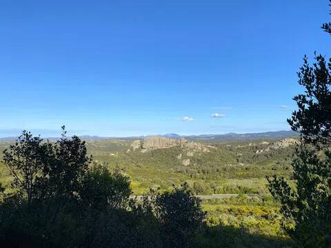 terreno agricolo in vendita ad Aglientu