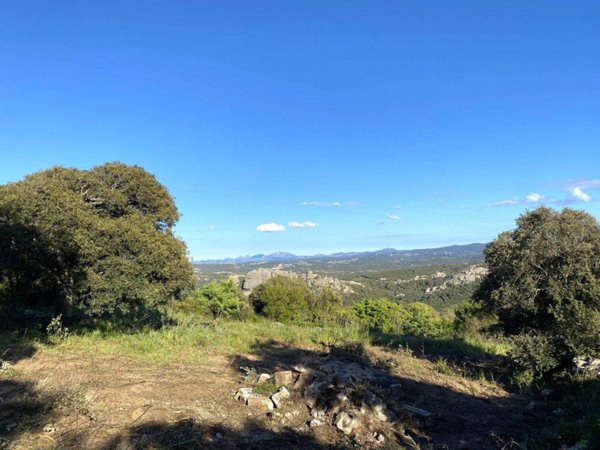terreno agricolo in vendita ad Aglientu