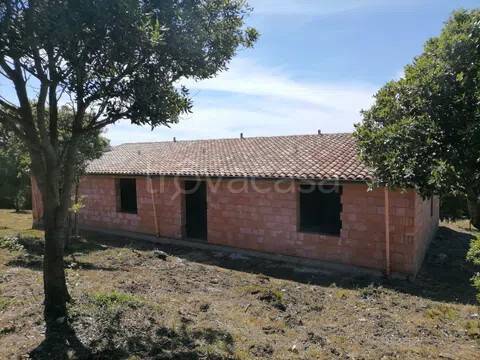 casa indipendente in vendita ad Aglientu