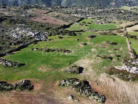 terreno agricolo in vendita ad Aglientu