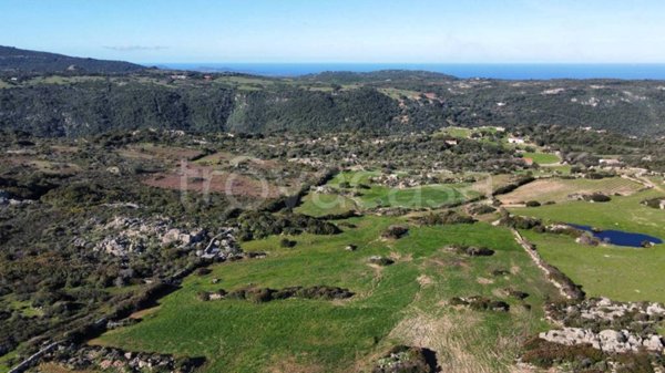 terreno agricolo in vendita ad Aglientu