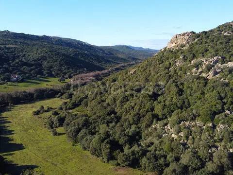 terreno agricolo in vendita ad Aglientu