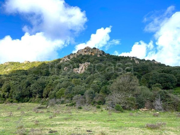 terreno agricolo in vendita ad Aglientu