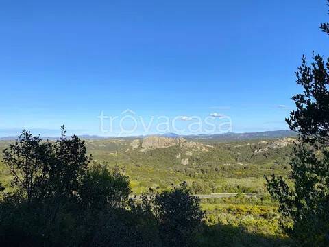 terreno agricolo in vendita ad Aglientu