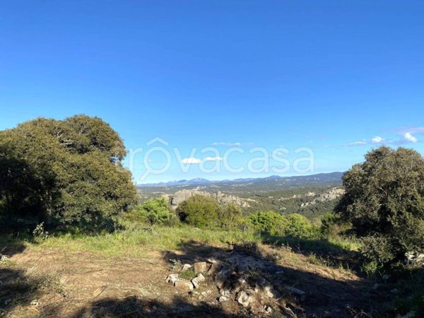 terreno agricolo in vendita ad Aglientu