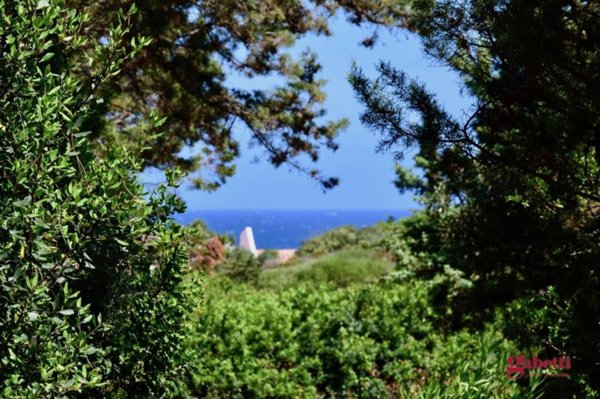 casa indipendente in vendita ad Aglientu