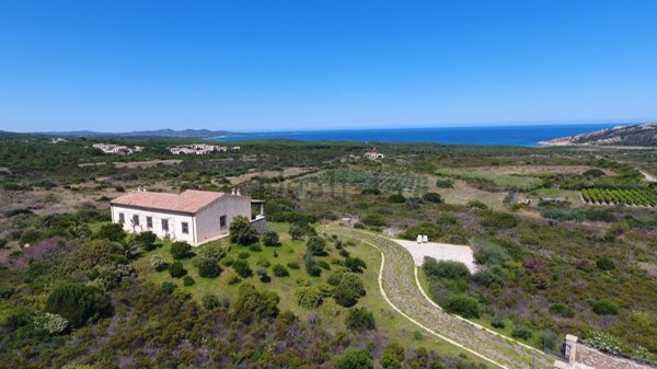 casa indipendente in vendita ad Aglientu