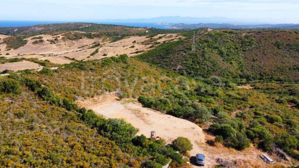 azienda agricola in vendita ad Aglientu