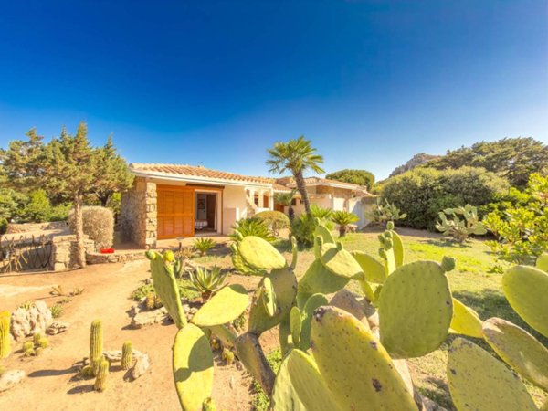 casa indipendente in vendita ad Aglientu