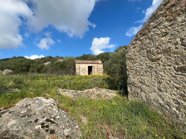 terreno in vendita ad Aglientu