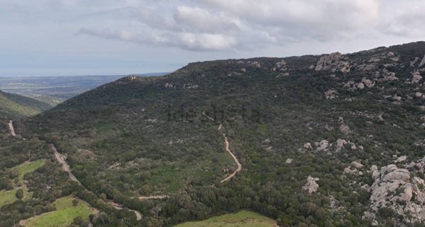 terreno in vendita ad Aglientu