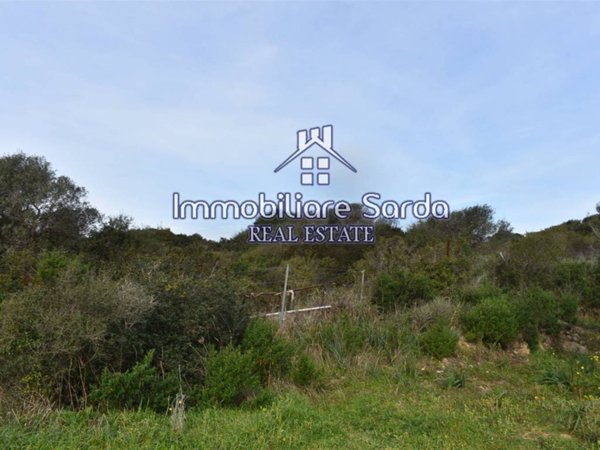 terreno agricolo in vendita a Santa Teresa Gallura