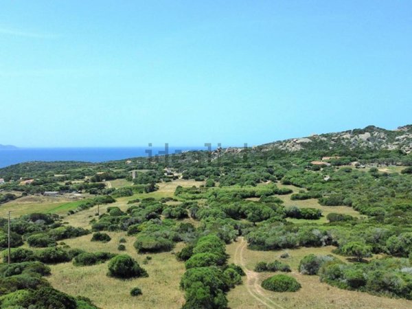 terreno agricolo in vendita a Santa Teresa Gallura