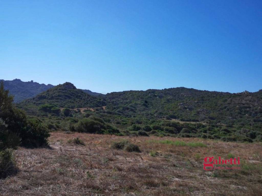 terreno agricolo in vendita a Santa Teresa Gallura