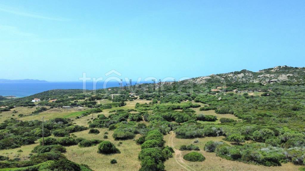 terreno agricolo in vendita a Santa Teresa Gallura