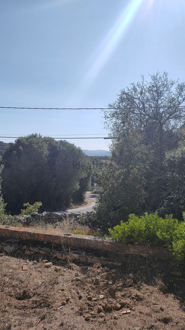 appartamento in vendita a Santa Teresa Gallura