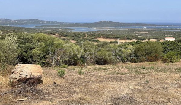 terreno agricolo in vendita a Santa Teresa Gallura