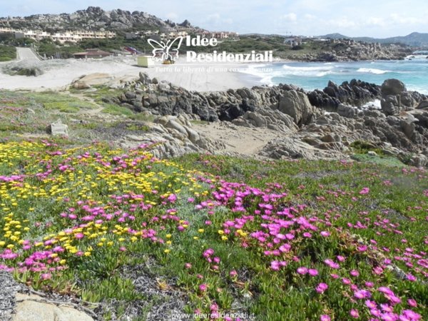 appartamento in vendita a Santa Teresa Gallura
