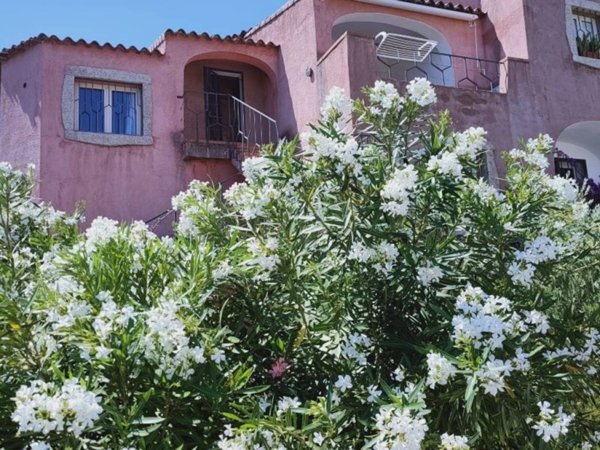 appartamento in vendita a Santa Teresa Gallura