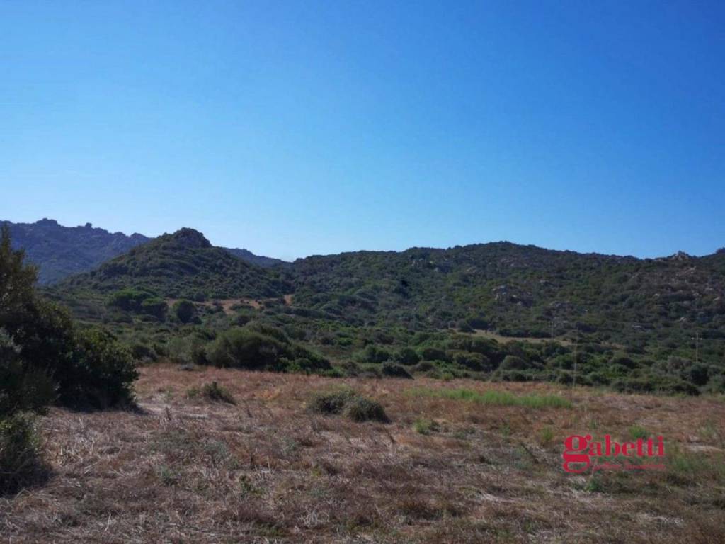 terreno agricolo in vendita a Santa Teresa Gallura