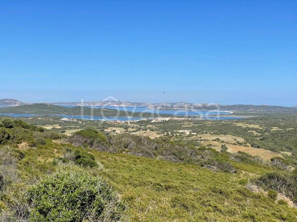 terreno agricolo in vendita a Santa Teresa Gallura