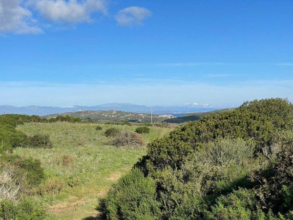 terreno agricolo in vendita a Santa Teresa Gallura