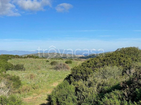 terreno agricolo in vendita a Santa Teresa Gallura