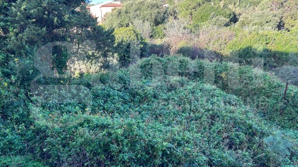 terreno agricolo in vendita a Santa Teresa Gallura