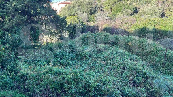 terreno edificabile in vendita a Santa Teresa Gallura