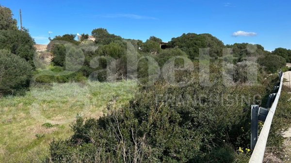 terreno agricolo in vendita a Santa Teresa Gallura