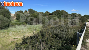 terreno edificabile in vendita a Santa Teresa Gallura