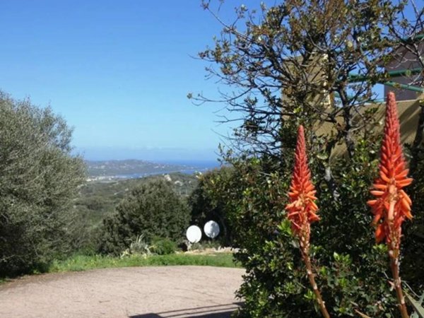 appartamento in vendita a Santa Teresa Gallura