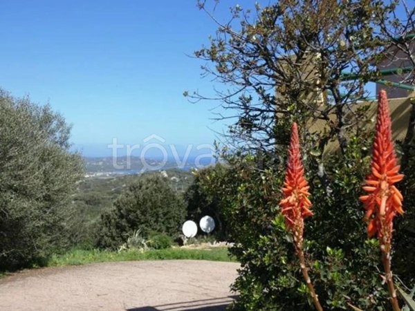 appartamento in vendita a Santa Teresa Gallura
