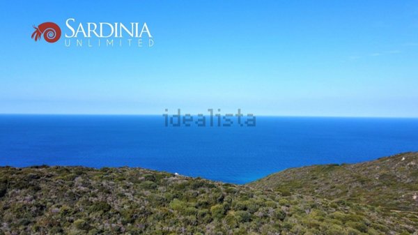 quadrivano in vendita a Santa Teresa Gallura