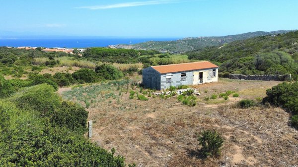 appartamento in vendita a Santa Teresa Gallura