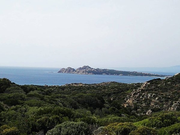 casa indipendente in vendita a Santa Teresa Gallura