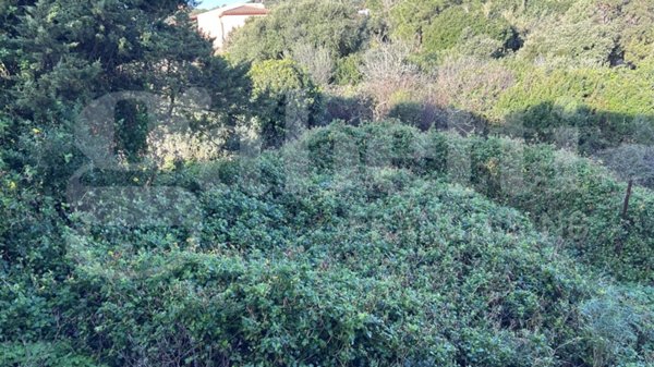 terreno edificabile in vendita a Santa Teresa Gallura