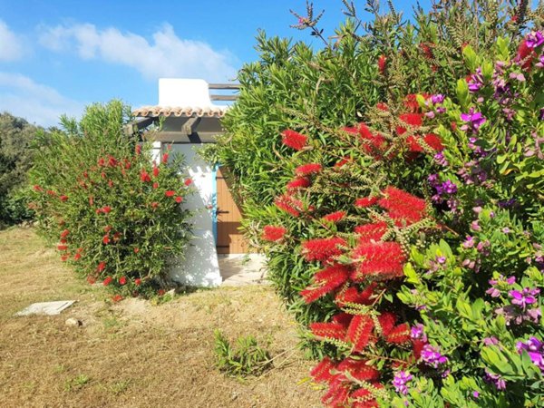 casa indipendente in vendita a Santa Teresa Gallura
