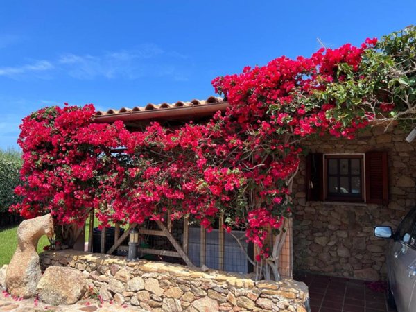casa indipendente in vendita a Santa Teresa Gallura