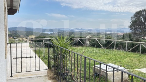 azienda agricola in vendita a Santa Teresa Gallura