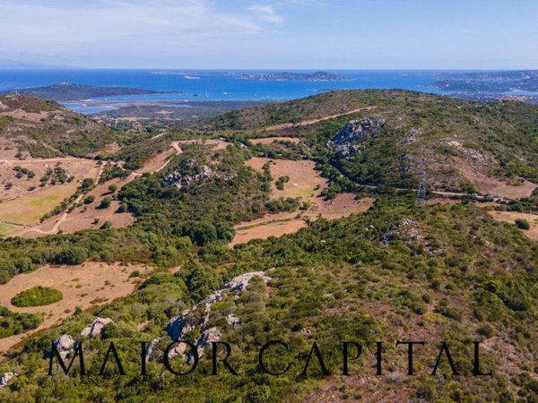 terreno agricolo in vendita a Santa Teresa Gallura