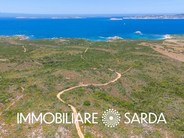 terreno agricolo in vendita a Santa Teresa Gallura