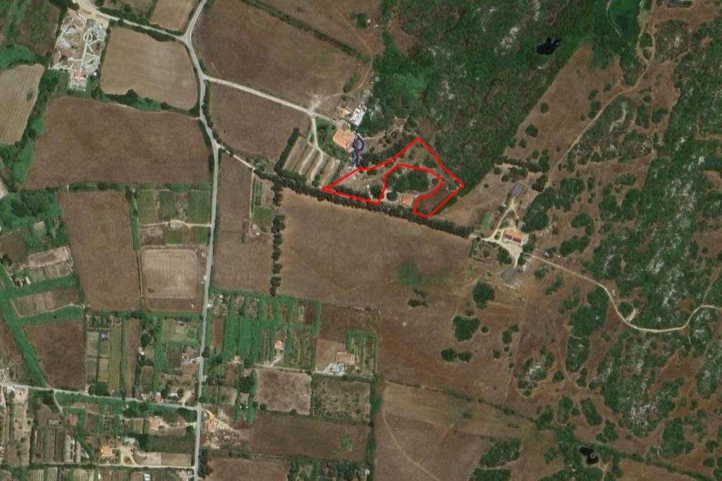 terreno agricolo in vendita a Santa Teresa Gallura