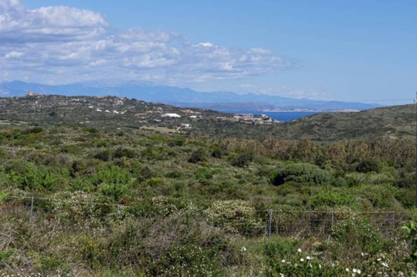 terreno agricolo in vendita a Santa Teresa Gallura