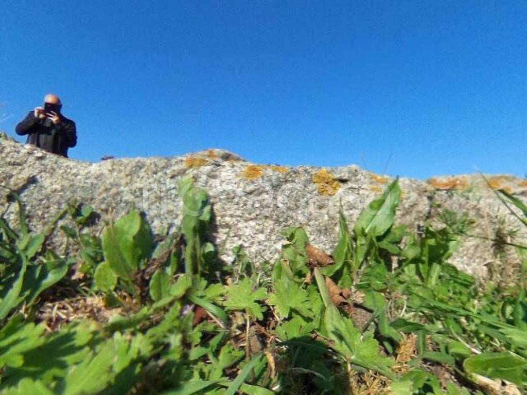 appartamento in vendita a Santa Teresa Gallura