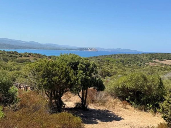 appartamento in vendita a Santa Teresa Gallura