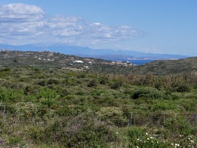 terreno agricolo in vendita a Santa Teresa Gallura