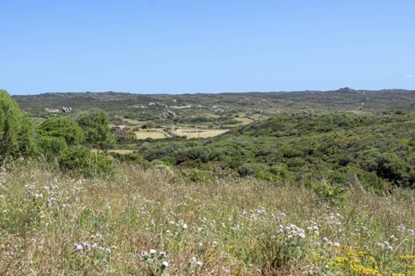 terreno agricolo in vendita a Santa Teresa Gallura