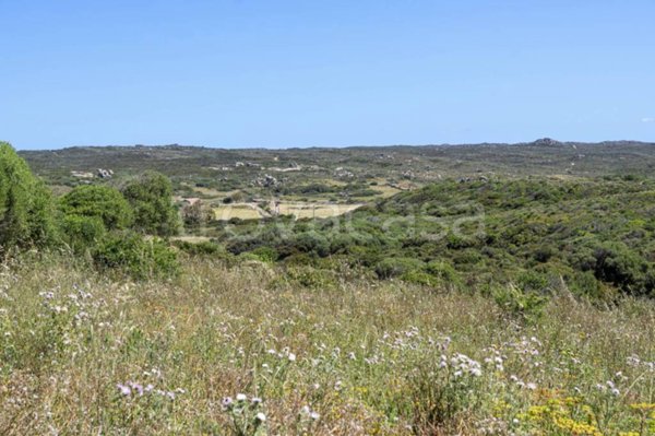 terreno agricolo in vendita a Santa Teresa Gallura