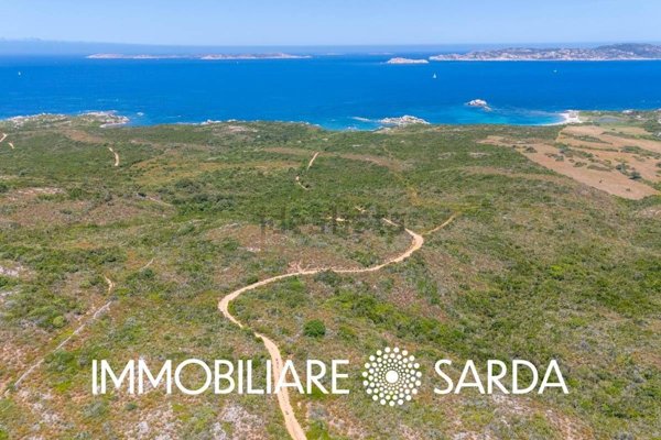 terreno agricolo in vendita a Santa Teresa Gallura